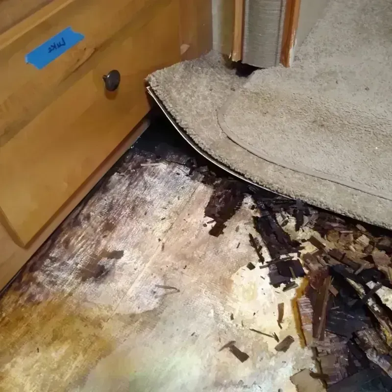 Wood Floor Water Damage in Saint Michael, MN